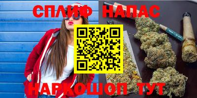 apvp Ростов-на-Дону