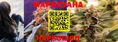 индика Гусь-Хрустальный