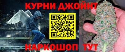 индика Гусь-Хрустальный