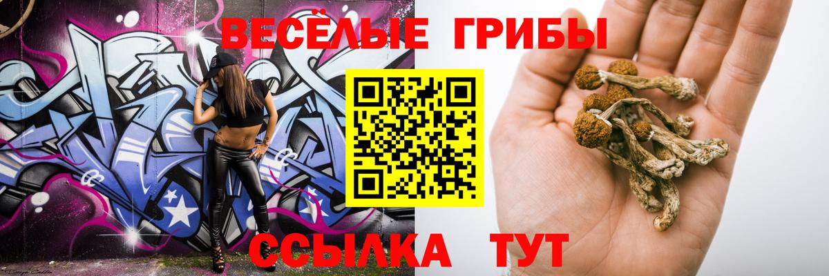 Котлас  Псилоцибиновые грибы GOLDEN TEACHER  Вход с VPN  Псилоцибиновые грибы мухоморы 