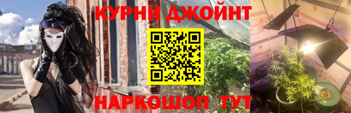 Котлас  Конопля план  Вход с VPN  МАРИХУАНА сатива  Канабис конопля 
